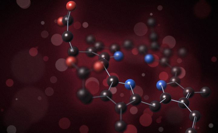 Modelo molecular de la protoporfirina