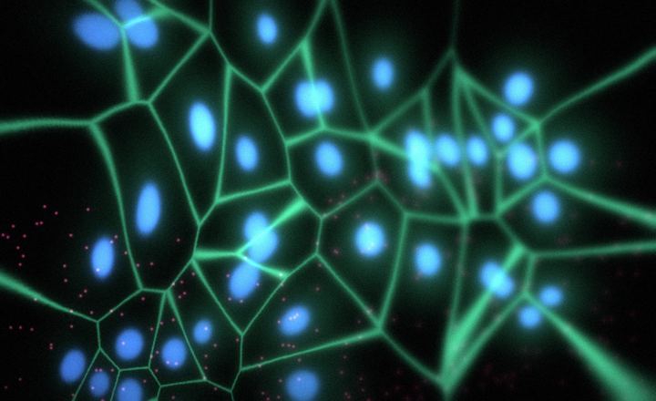 Ilustración de microscopía de epitelio intestinal