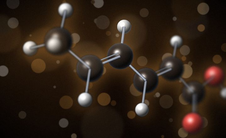 Modelo molecular del ácido sórbico